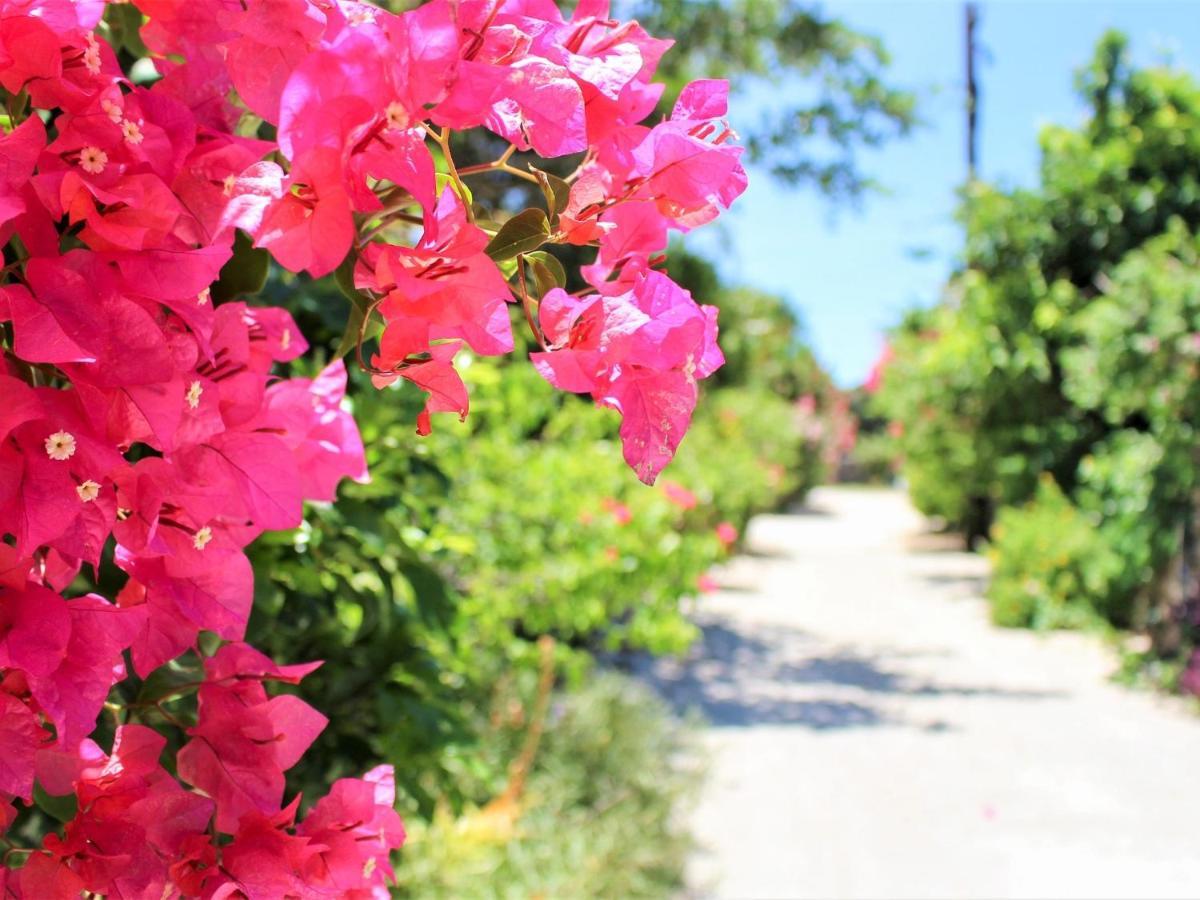 The Avance Hotel Ishigakijima - Vacation Stay 85735V Ishigaki  Buitenkant foto