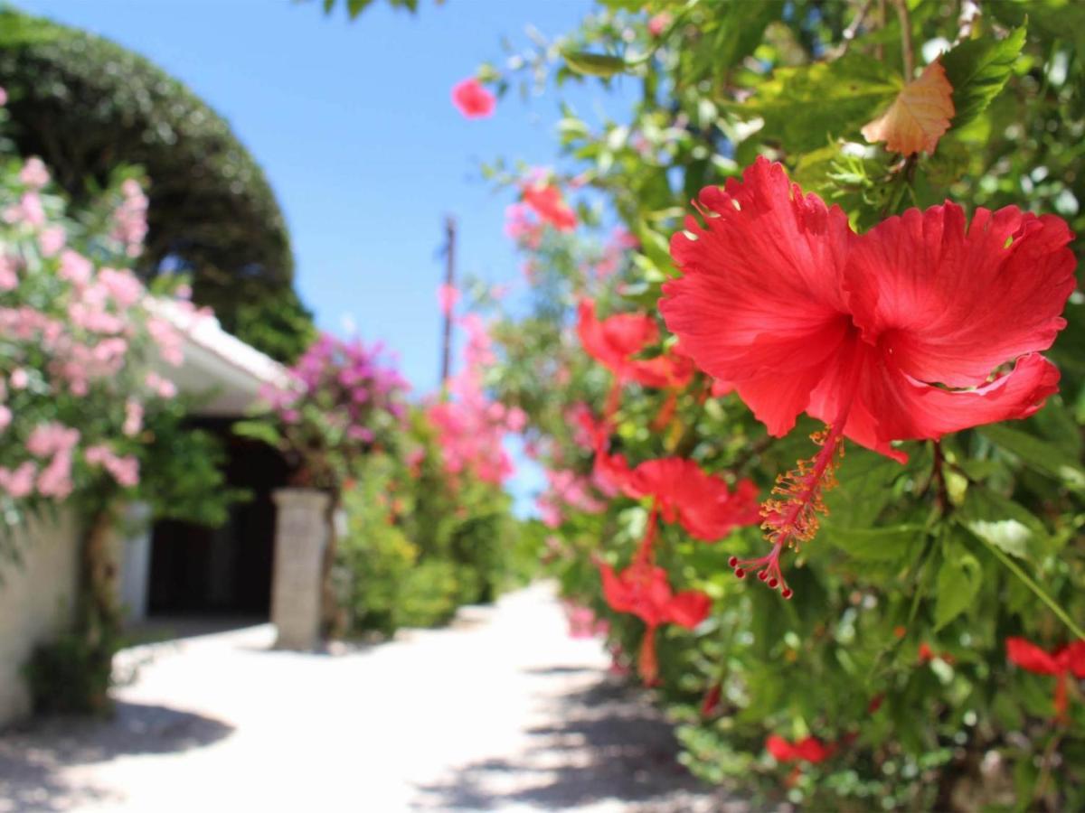 The Avance Hotel Ishigakijima - Vacation Stay 85735V Ishigaki  Buitenkant foto